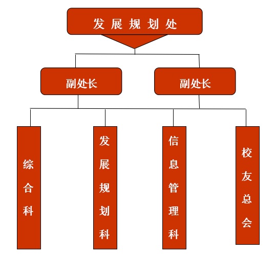 金算盘49819更新