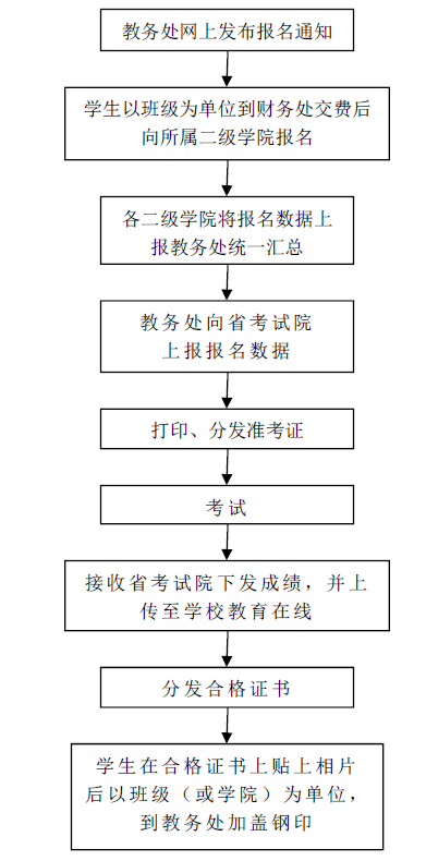 金算盘49819更新