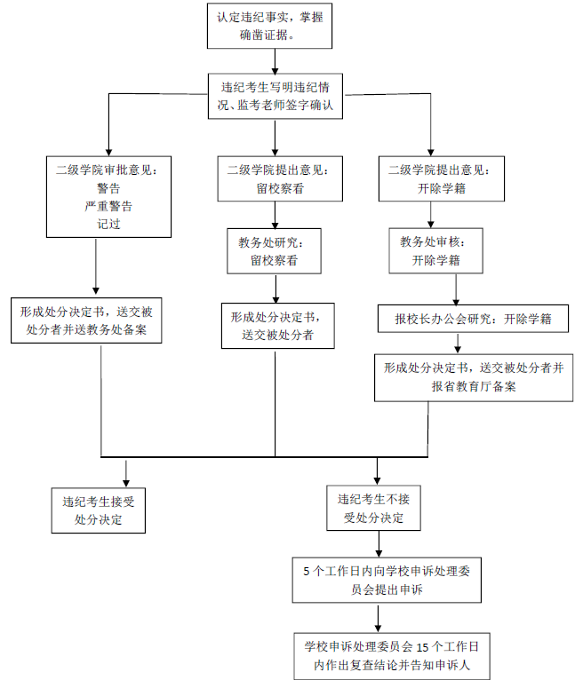 金算盘49819更新